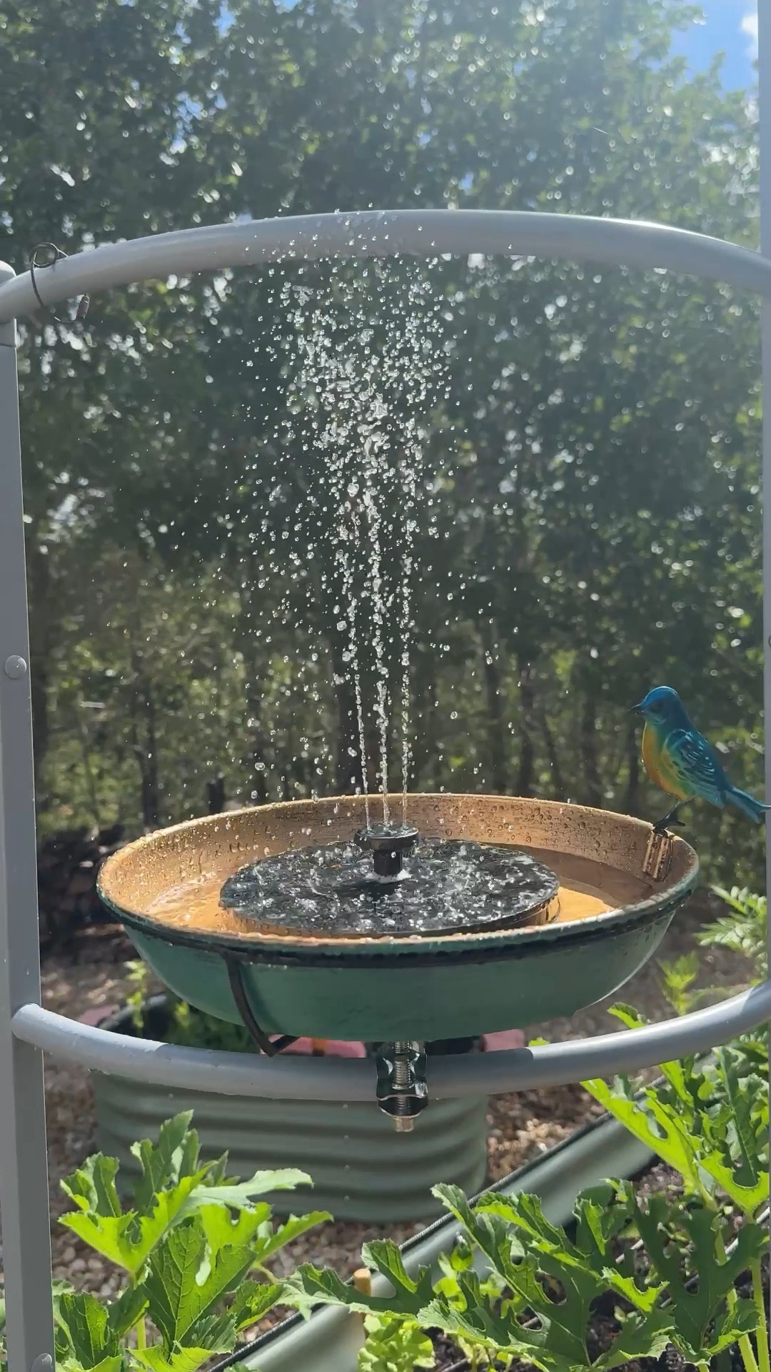 Birdbath garden setup  

#LTKSeasonal #LTKHome #LTKFamily