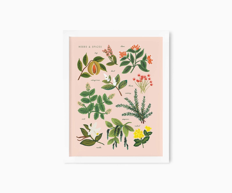 Herbs & Spices Peach Art Print | Rifle Paper Co.