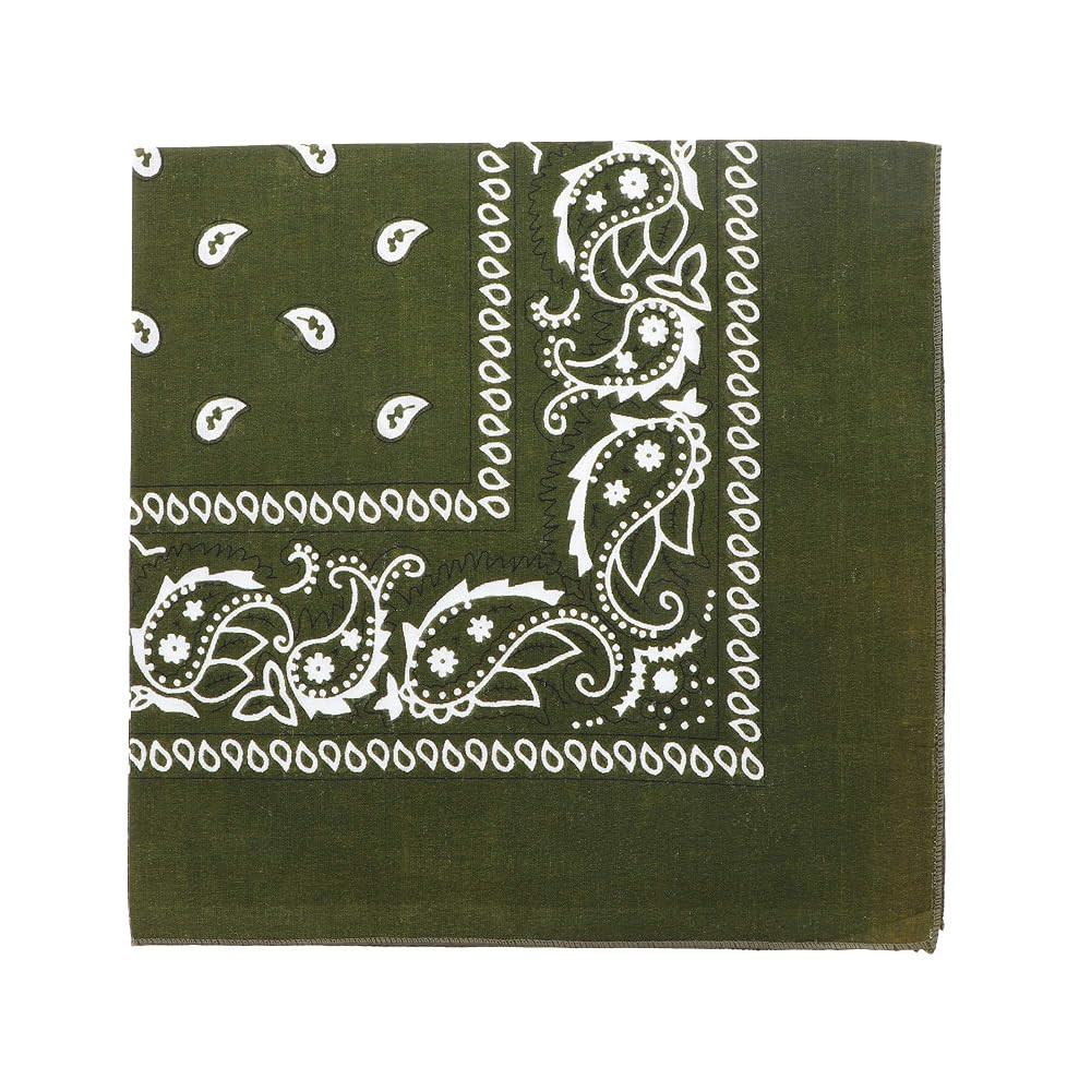 Motique Accessories 22 Inch Cotton Paisley Bandana | Amazon (US)