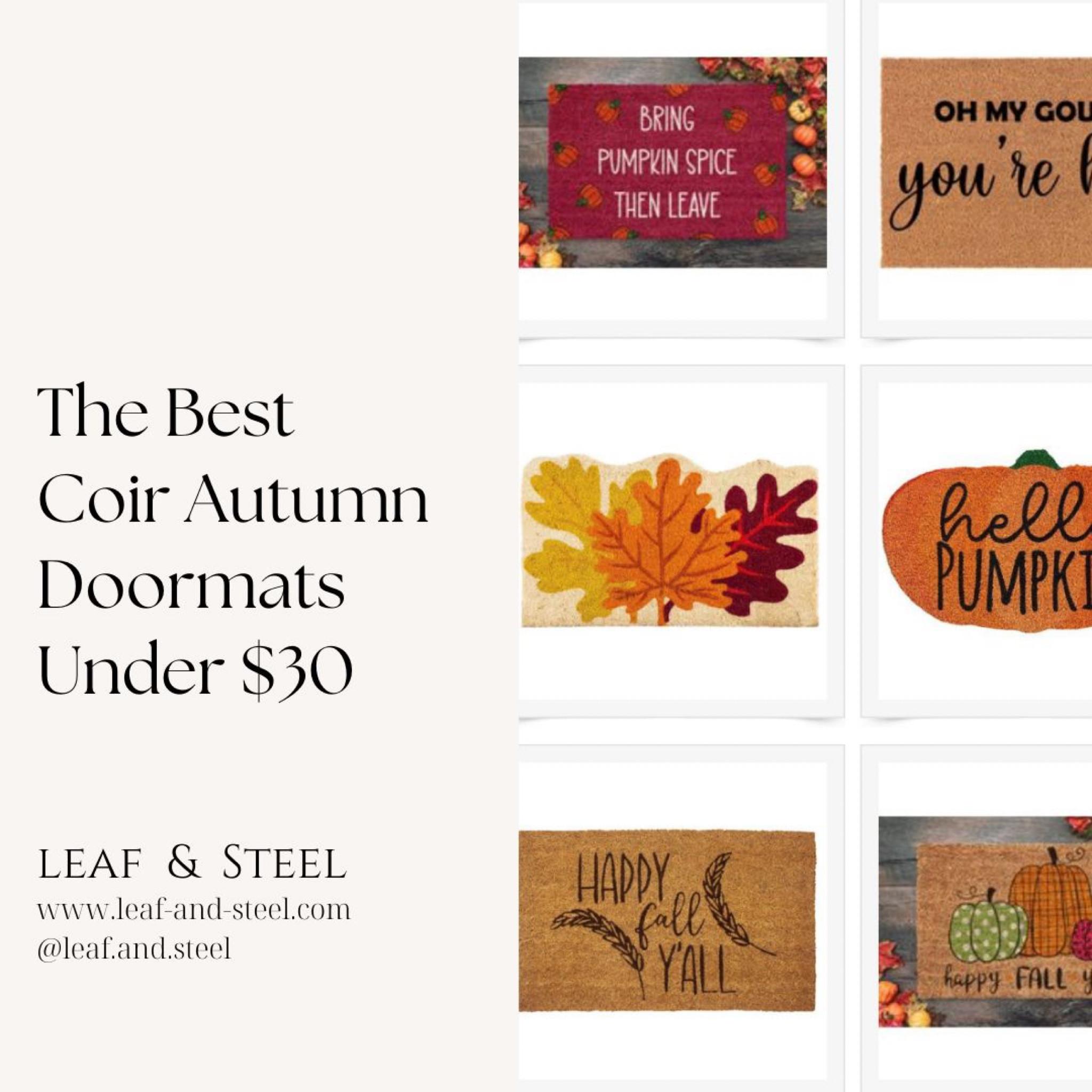 The Best Coir Autumn Doormats Under $30

#LTKSeasonal #LTKhome #LTKFind