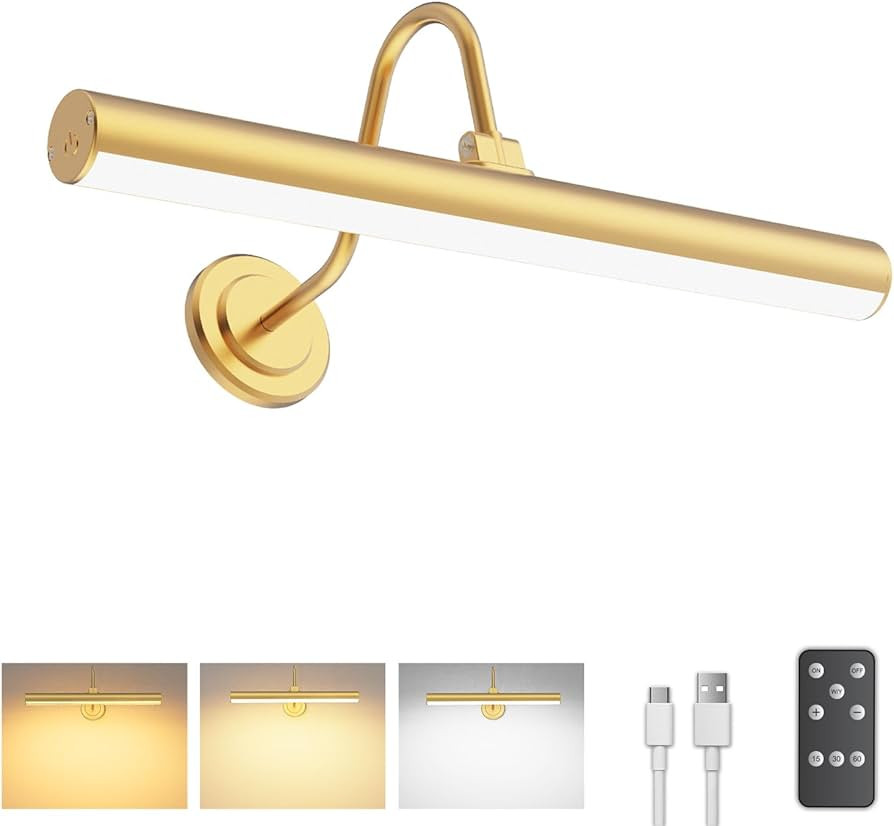 Bridika Picture Light Battery Operated, Wireless Picture Light with Remote, 3 Color Modes and Dim... | Amazon (US)