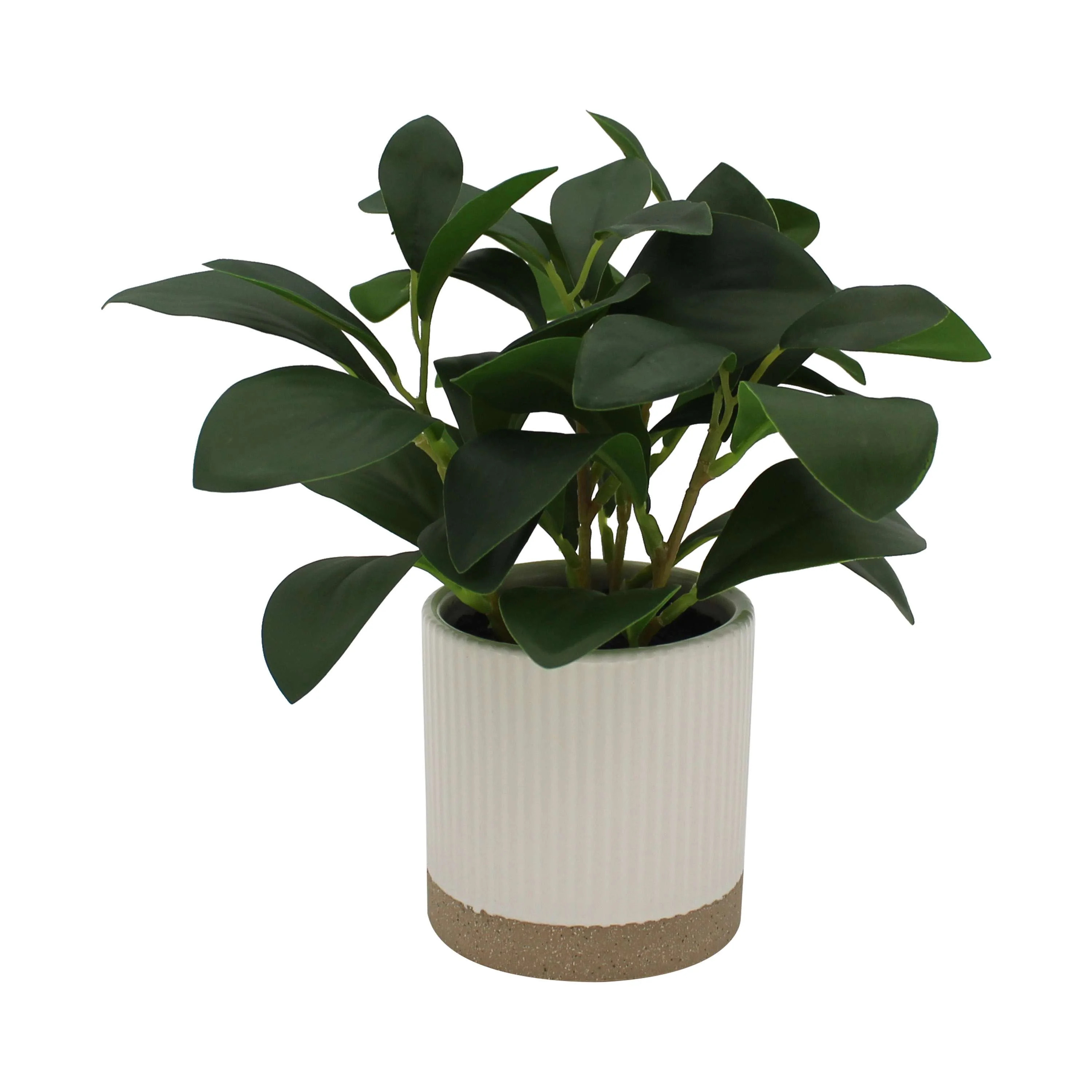 Mainstays by Becky G. & Alejandra 8" Artificial Peperomia in White Two-Tone Ribbed Ceramic Pot | Walmart (US)