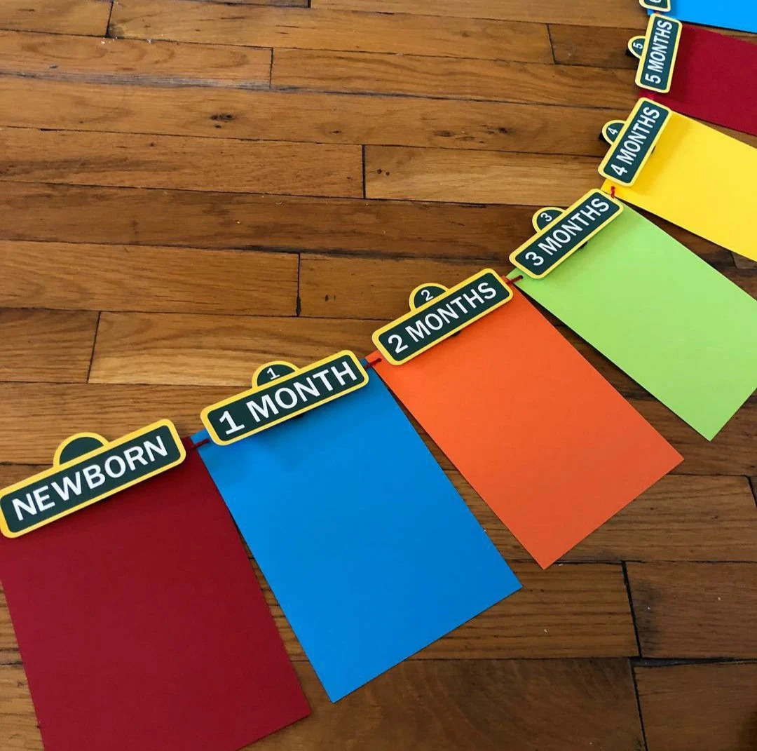 Sesame Street Inspired Monthly Growth Banner - Etsy | Etsy (US)