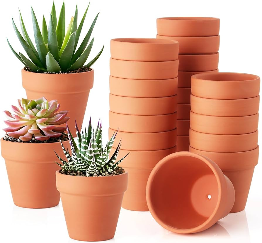 24 Pack 3 Inch Terracotta Pots, Mini Clay Pots with Drainage Holes,Cactus Flower Nursery Terra Co... | Amazon (US)