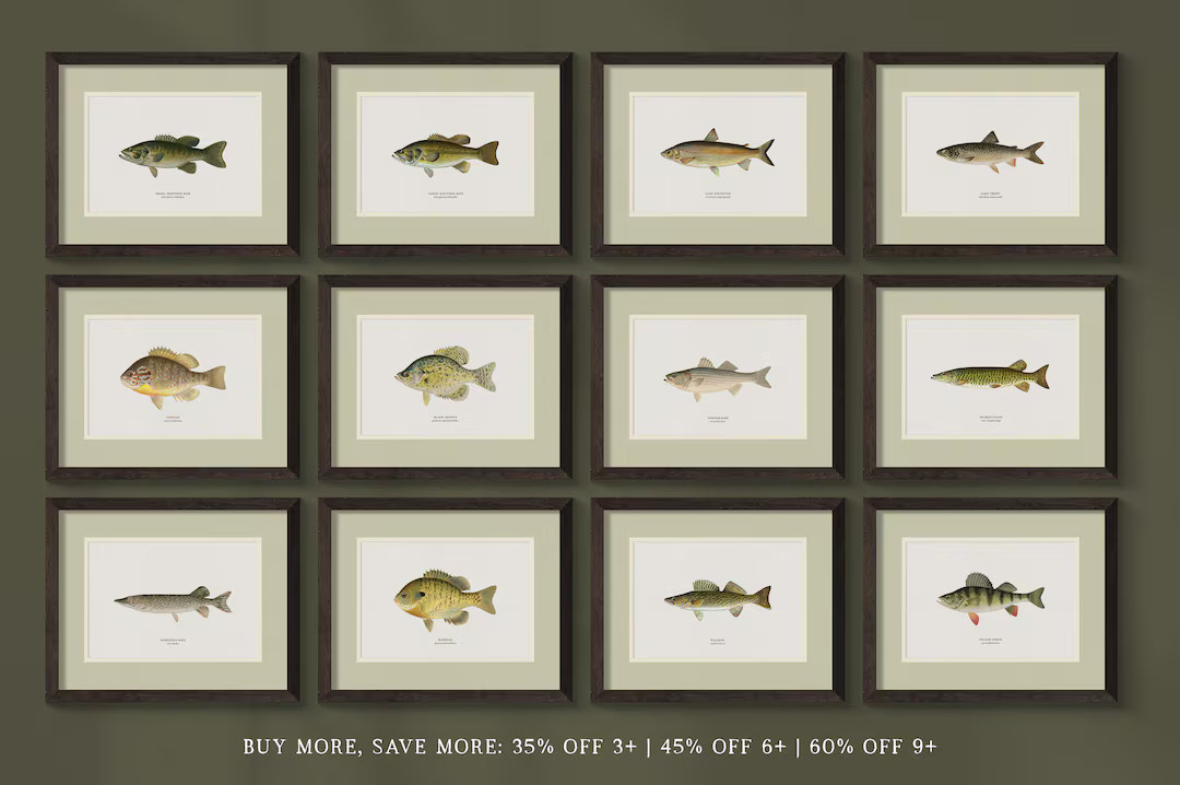 Framed Unique Antique Animal Art Prints and Freshwater Fish Paintings - Perfect for a Vintage Rus... | Etsy (US)