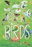 Big Book of Birds (The Big Book Series): Zommer, Yuval: 9780500651513: Amazon.com: Books | Amazon (US)
