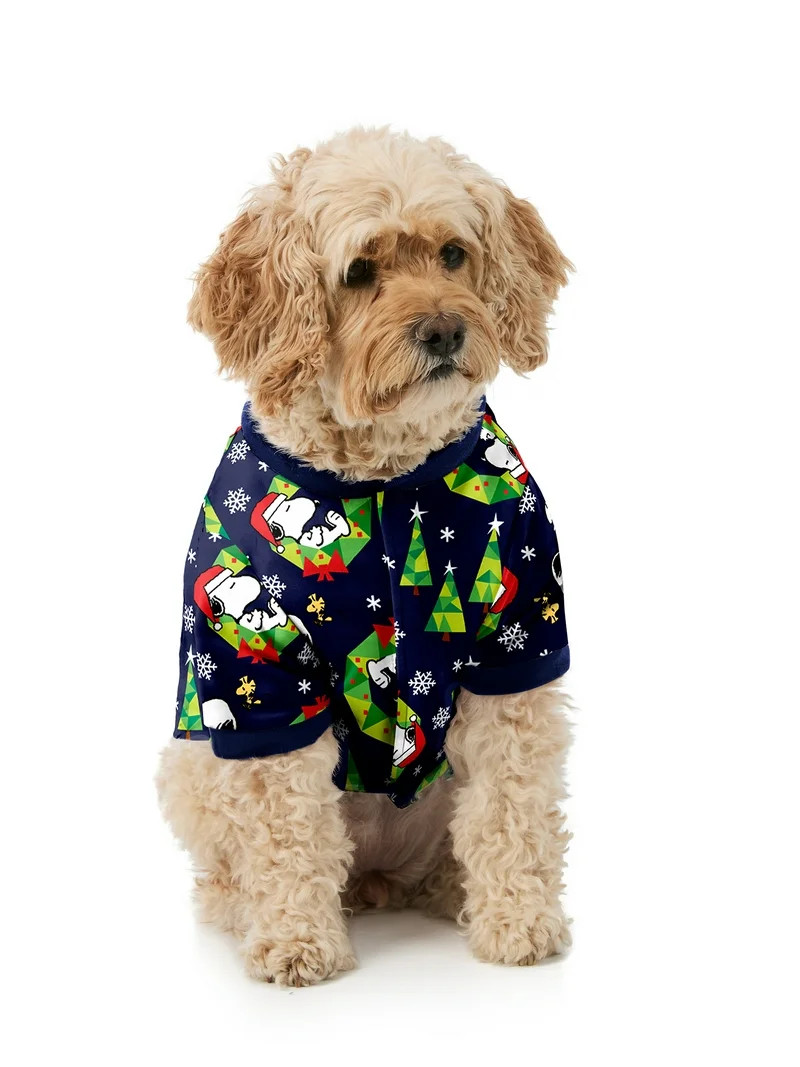 Peanuts Snoopy Pet Matching Family Pajamas, 1-Piece, Sizes XS-2XL | Walmart (US)