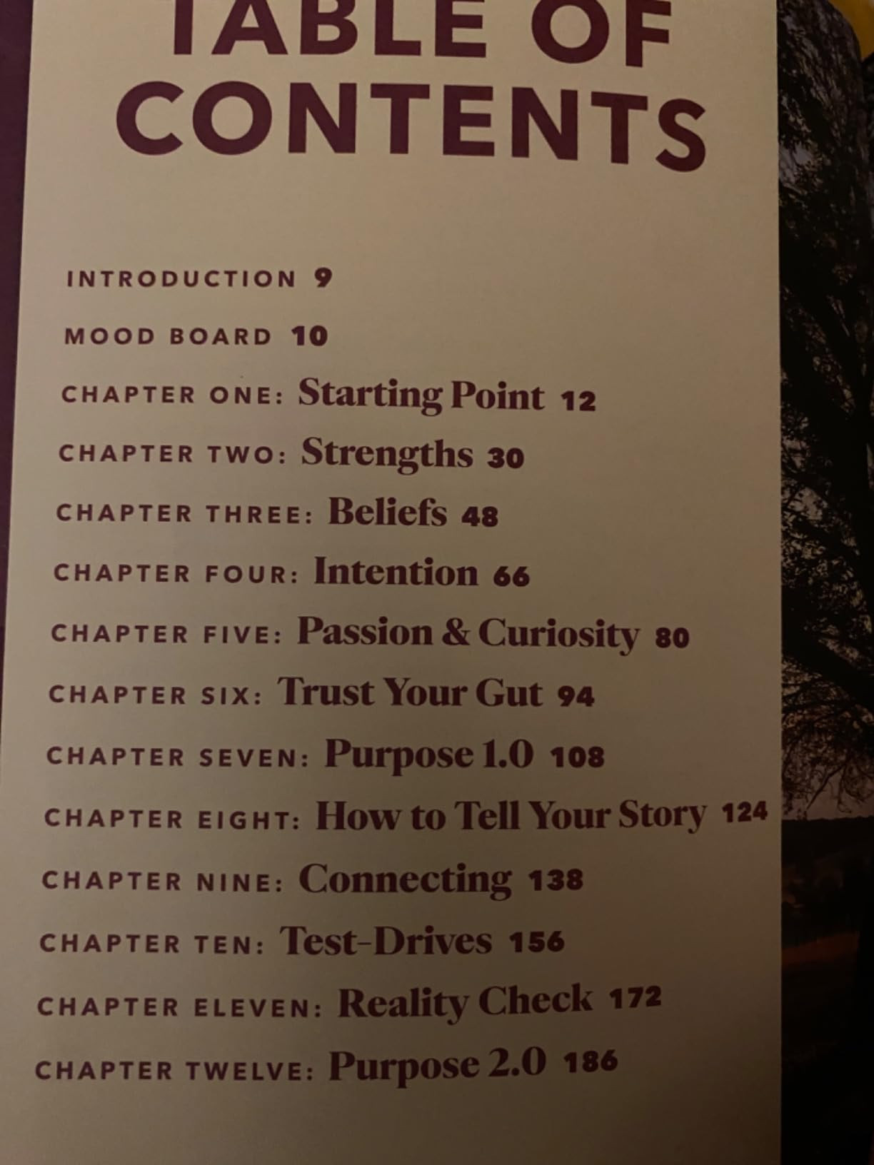 Oprah’s The Life You Want Finding Your Purpose Journal | Amazon (US)