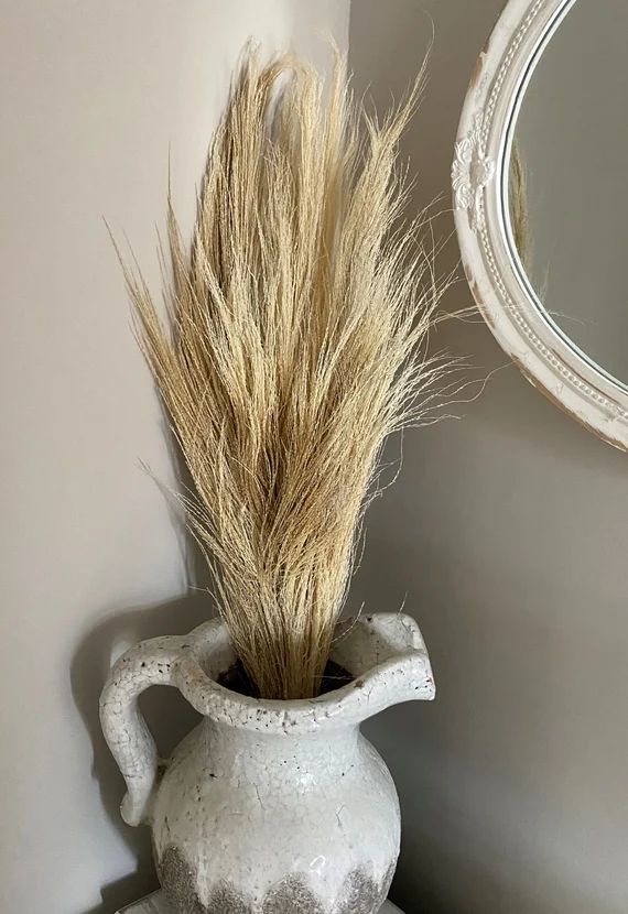 Dried Flowers Broom Grass, Bleached White . | Etsy (UK)