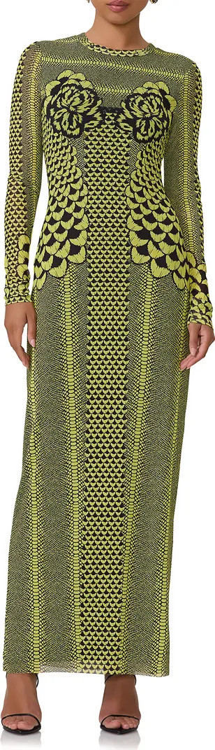 AFRM Didi Long Sleeve Mesh Maxi Dress | Nordstrom | Nordstrom