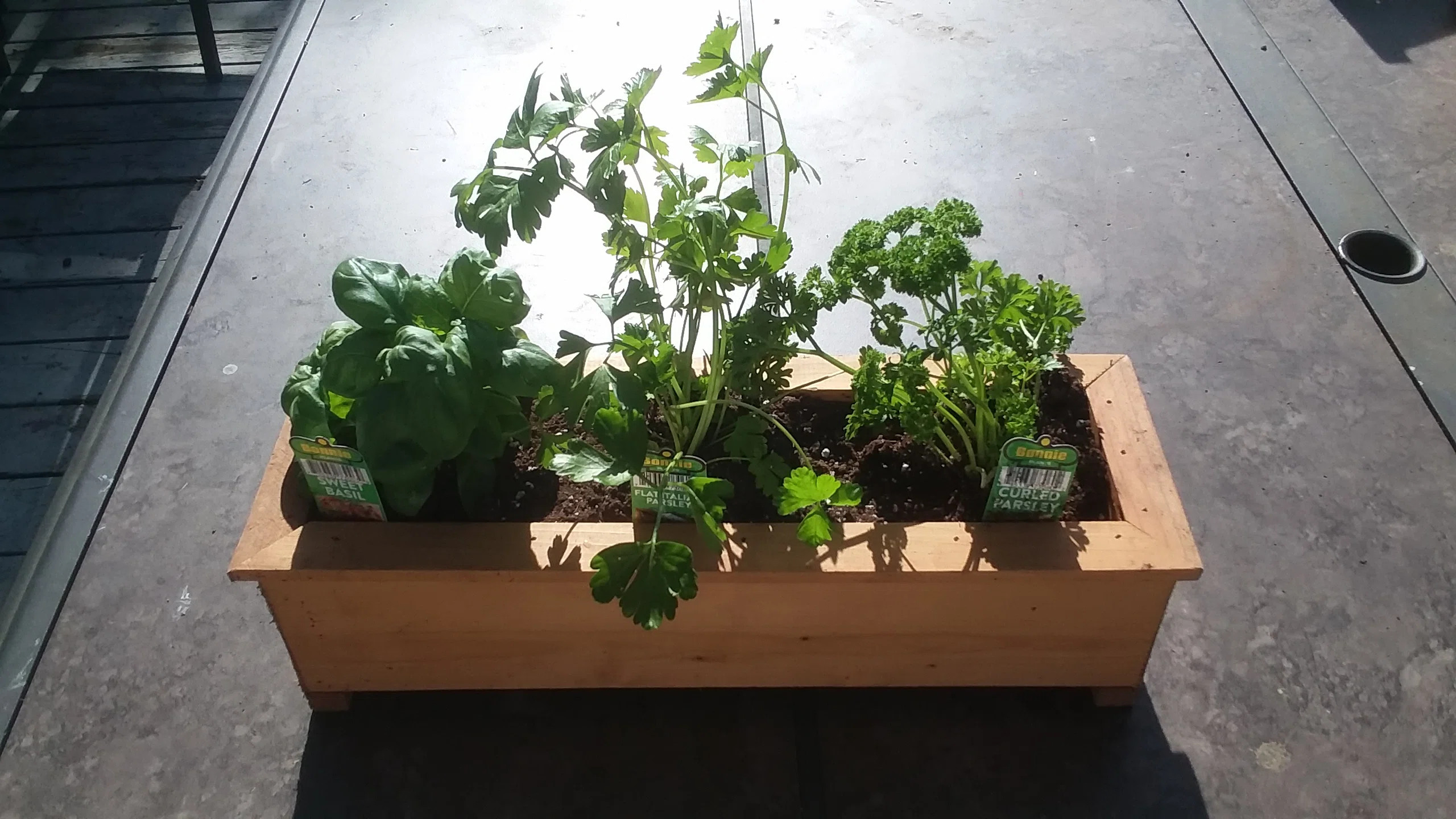 Jayne Handmade Wood Planter Box | Wayfair North America