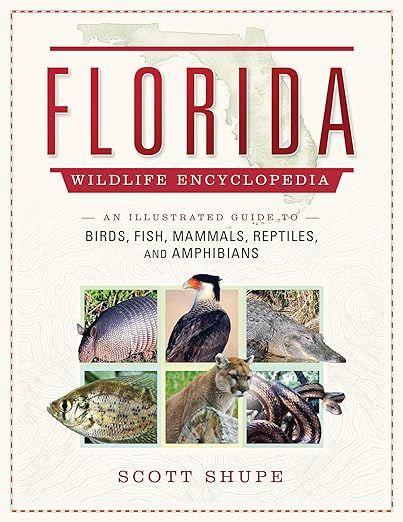 Florida Wildlife Encyclopedia: An Illustrated Guide to Birds, Fish, Mammals, Reptiles, and Amphib... | Amazon (US)