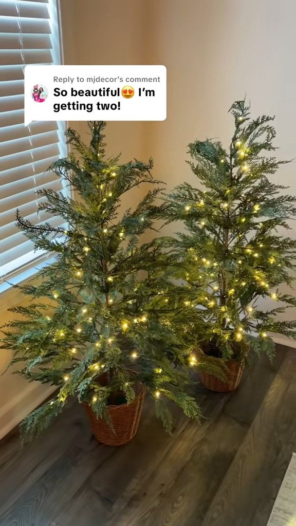 Part 2 of the 4ft Walmart Christmas tree 🌲 It sets up in minutes, easy to store, and love how realistic it looks!

#LTKSeasonal #LTKHome #LTKFindsUnder100