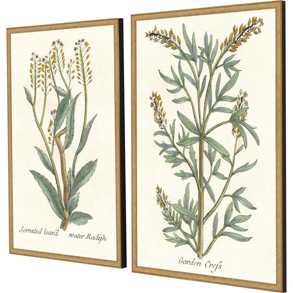 Botanical Plants III Set by Giclee Studio | Perigold