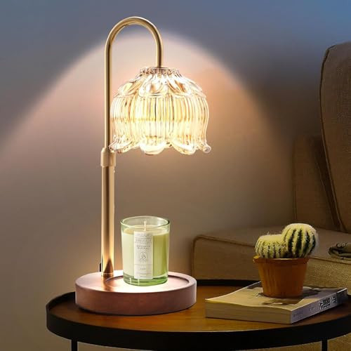 GEEZO Fragrance Candle Warmer Lamp，Electric Candle Warmer with Timer & Dimmer，Mom Christmas Birthday Gifts for Women, House Warming Gifts New Home Bedroom Decor | Amazon (US)