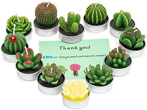AMASKY Handmade Delicate Succulent Cactus Candles for Birthday Party Wedding Spa Home Decoration(... | Amazon (US)