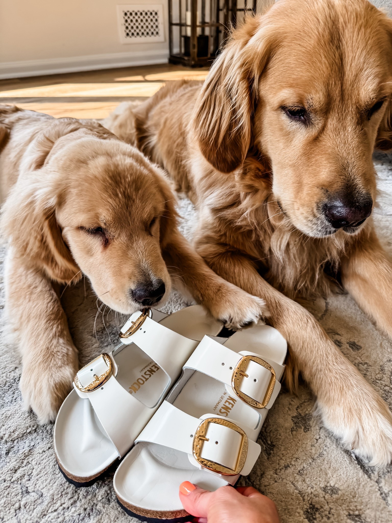 Birkenstock sandals TTS

#LTKShoeCrush