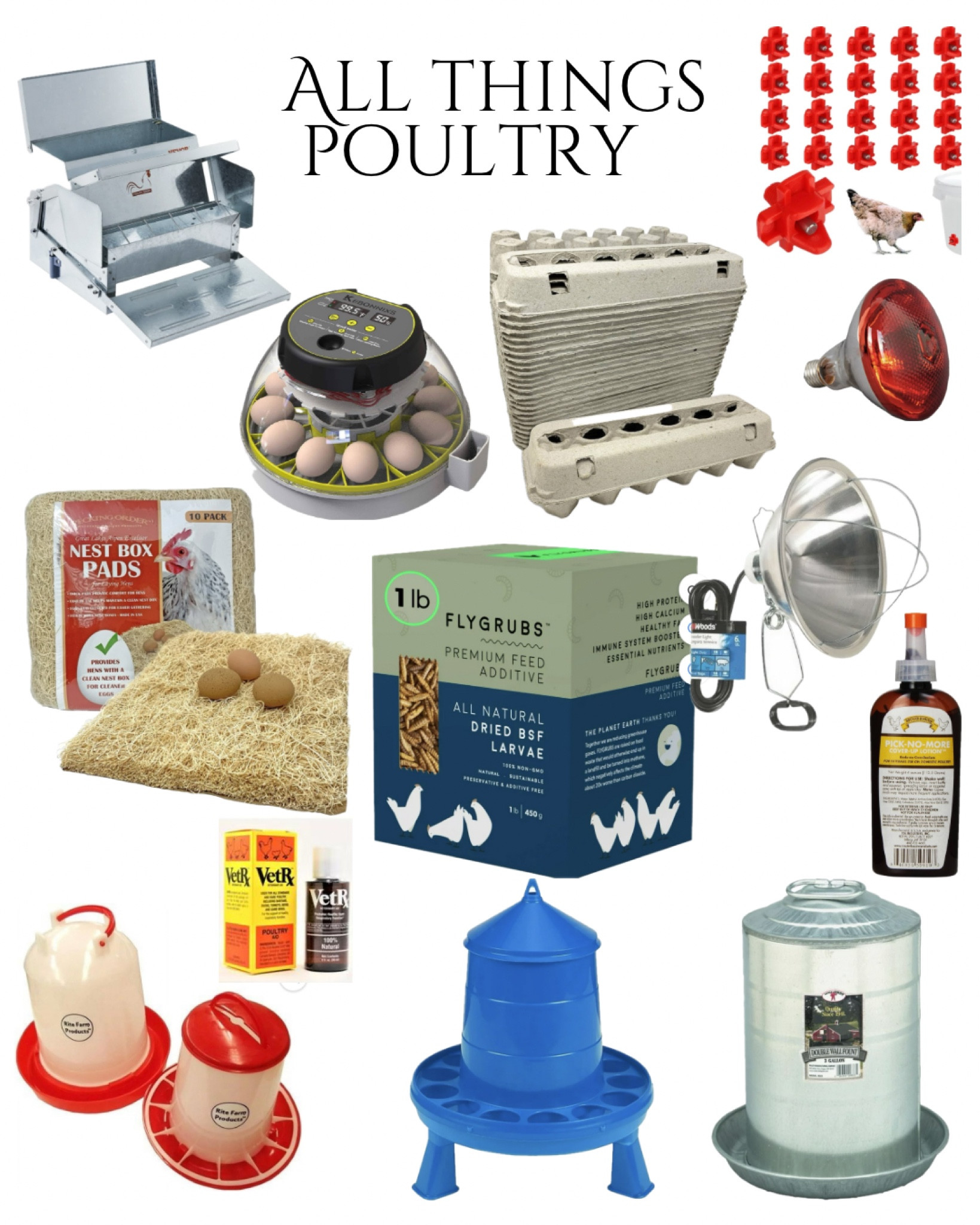 All things poultry 

#LTKfamily #LTKhome #LTKSeasonal