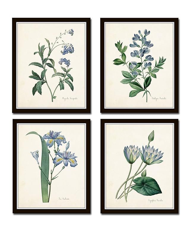 Botanical Print Set No. 20 Giclee Set of 4 Vintage Botanical Prints Home Room Decor Wall Art - Un... | Amazon (US)