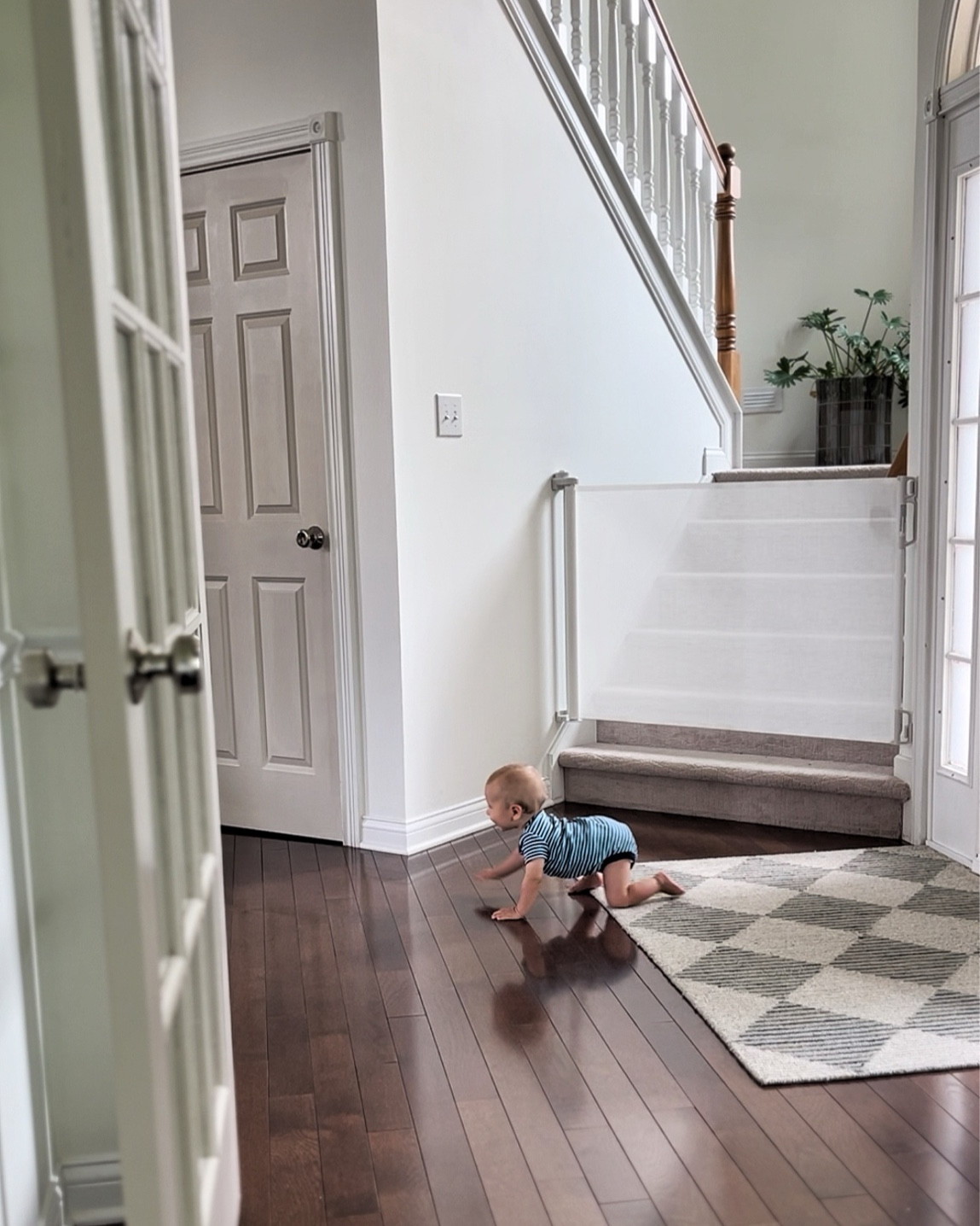 In our baby gate era 

#LTKHome #LTKBaby #LTKKids