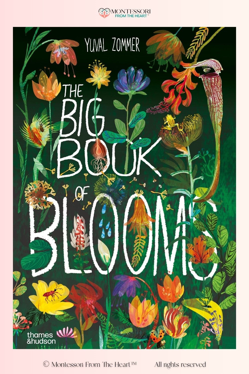 The Big Book of Blooms

#LTKhome #LTKkids #LTKgiftguide