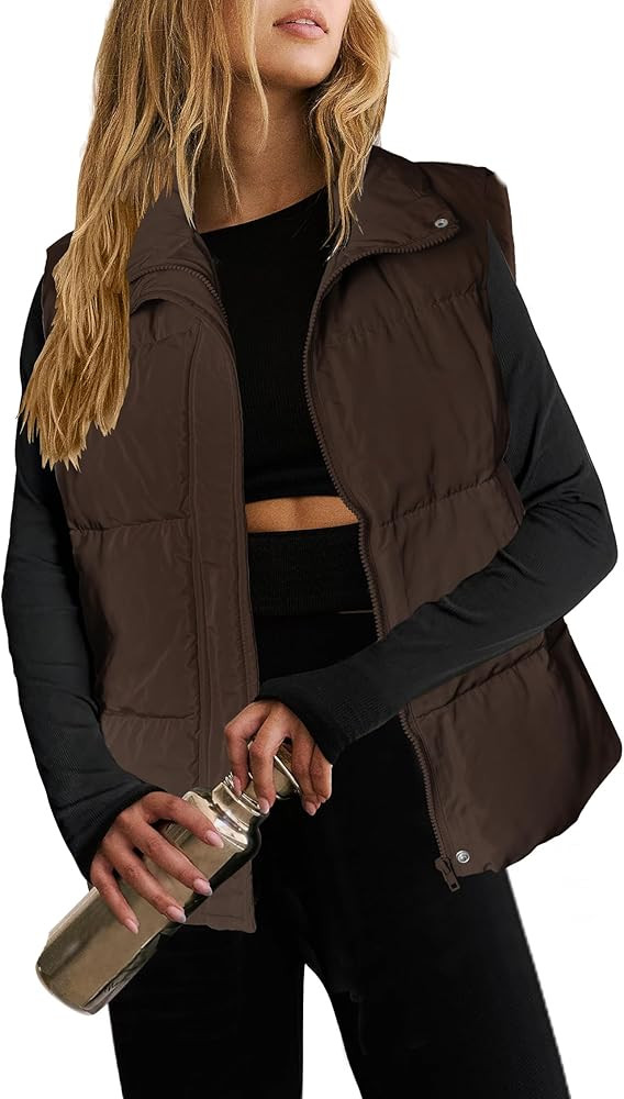 Zeagoo Women Puffer Vest Lightweight Stand Collar Sleeveless Winter Warm Zip Up Padded Outerwear ... | Amazon (US)