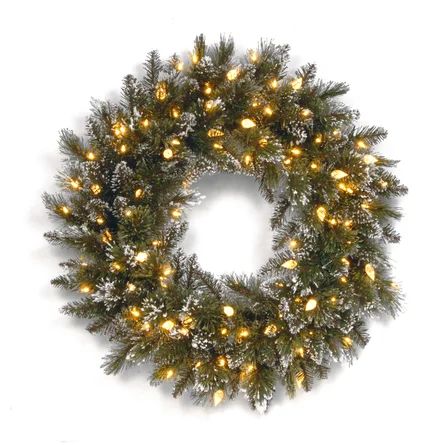 Glittery Bristle 24" Lighted PVC Wreath | Wayfair North America