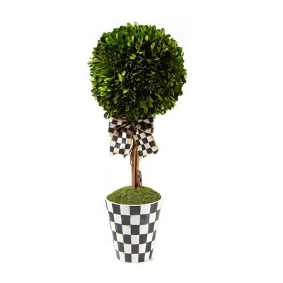 Courtly CheckÂ® Boxwood Topiary Drop-in | Perigold