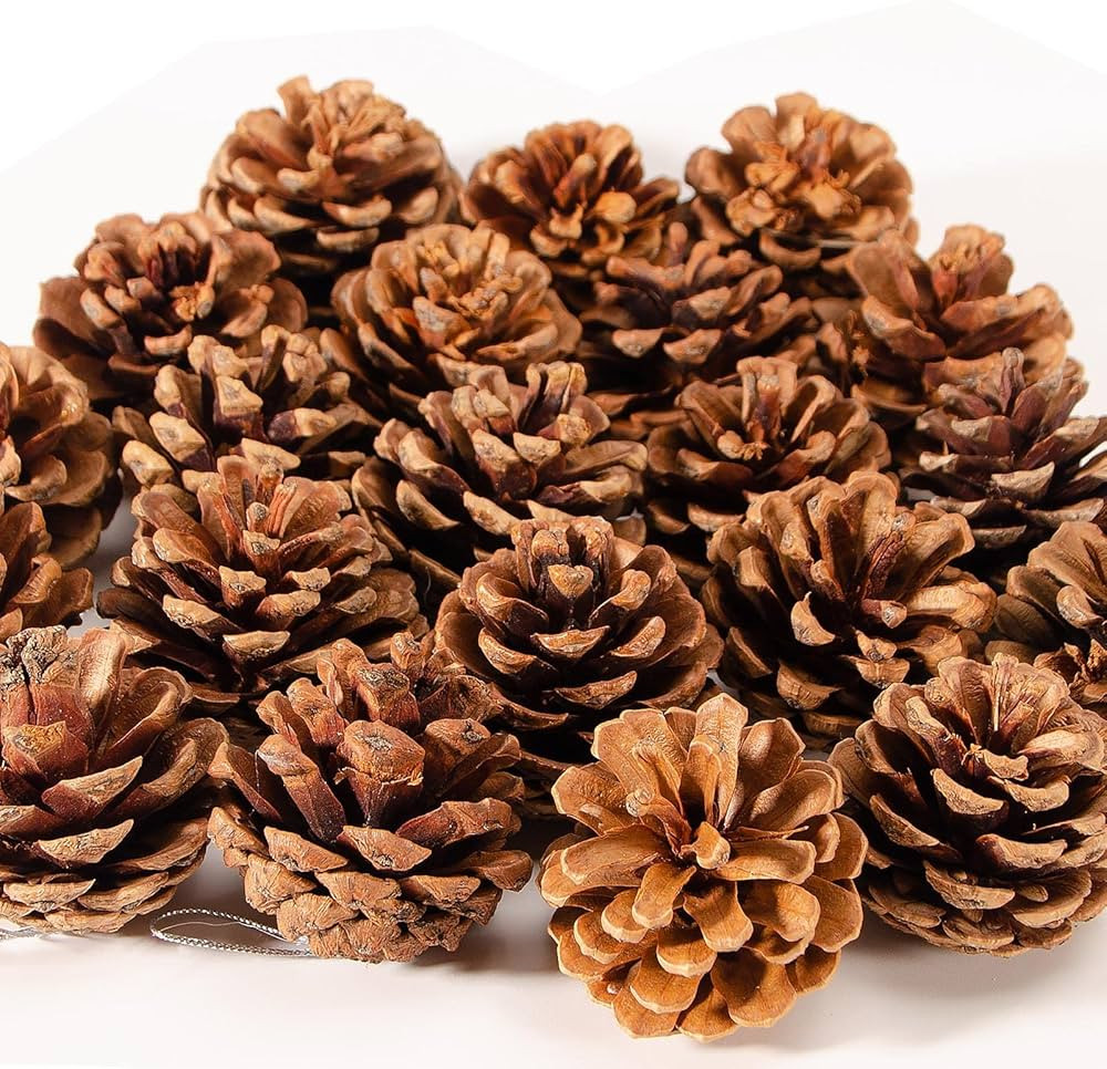 24PCS Natural Pine Cones Christmas Rustic Pine Cones Bulk Ornaments with String for Xmas Thanksgi... | Amazon (US)