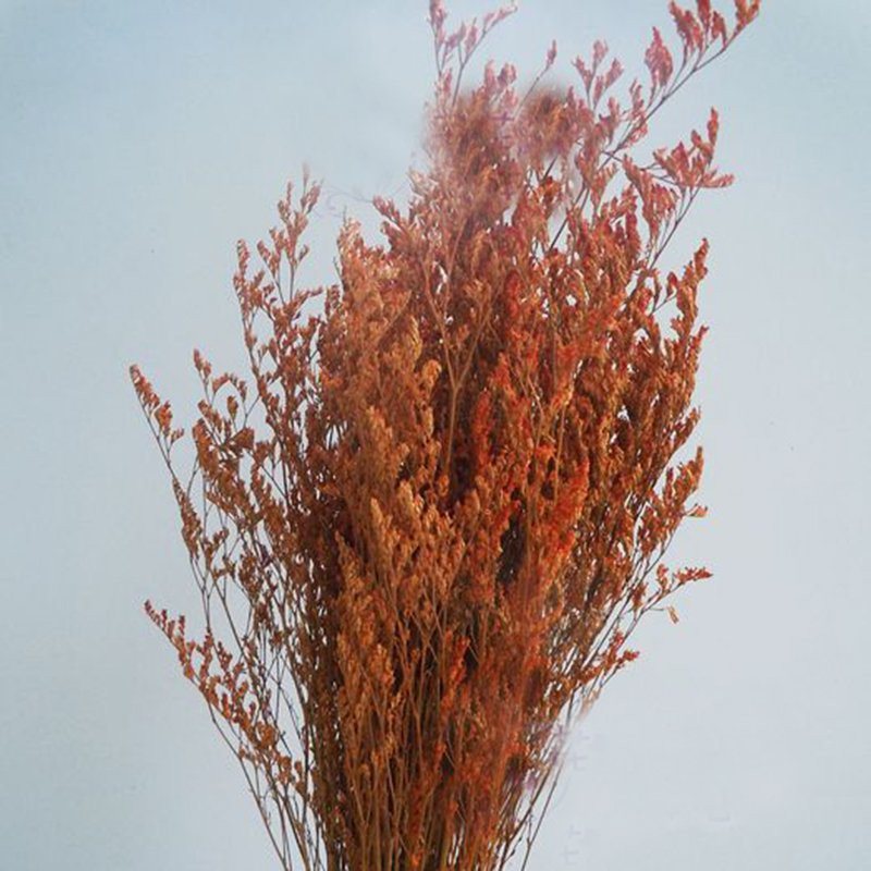 DIY Flower Artificial Flowers Lavender Natural Dried Flowers Bouquet Wedding Party Home Flower De... | Walmart (US)