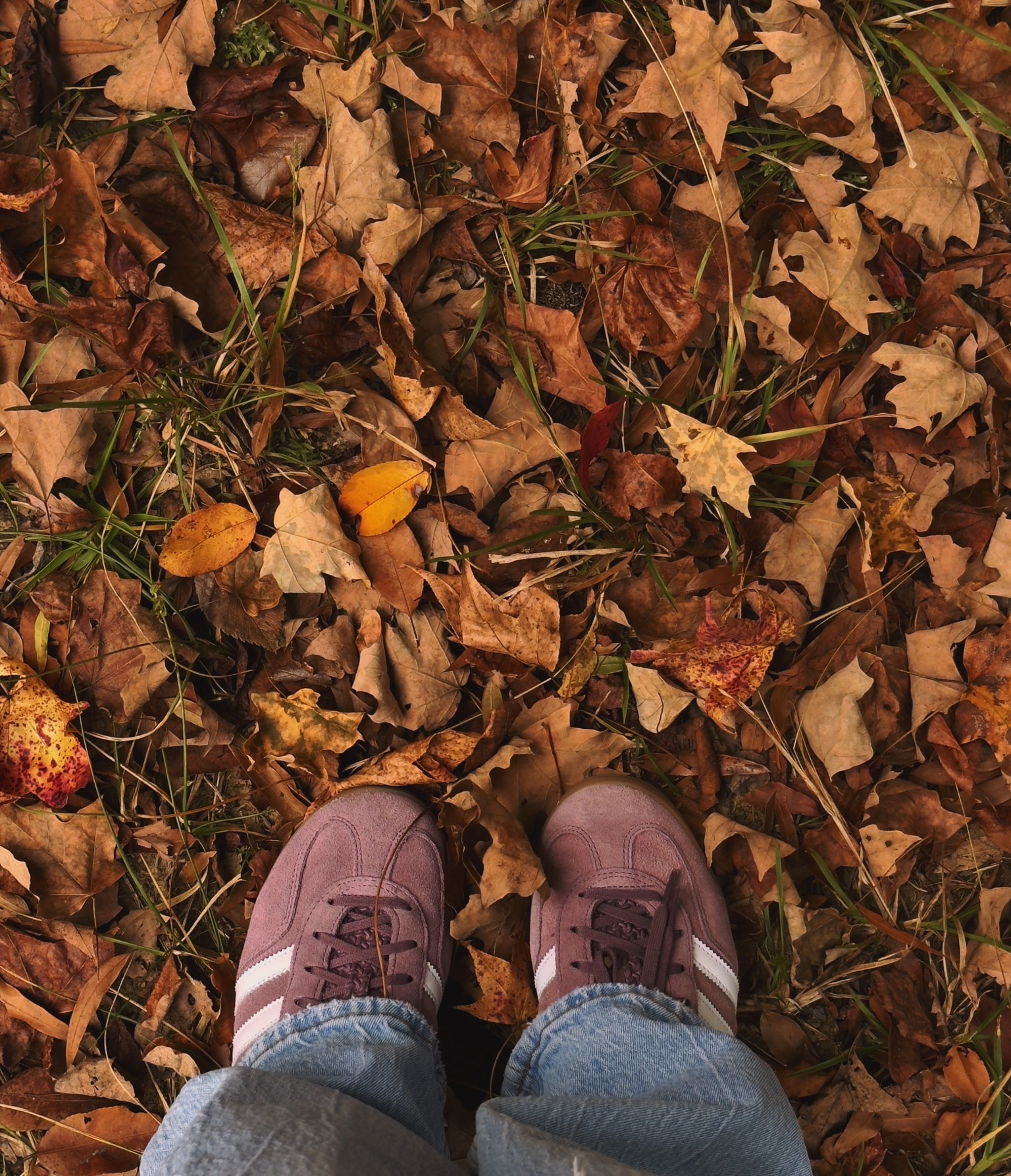 my favs. literally the perfect color for fall 😩🤎

#LTKGiftGuide #LTKSeasonal #LTKHoliday