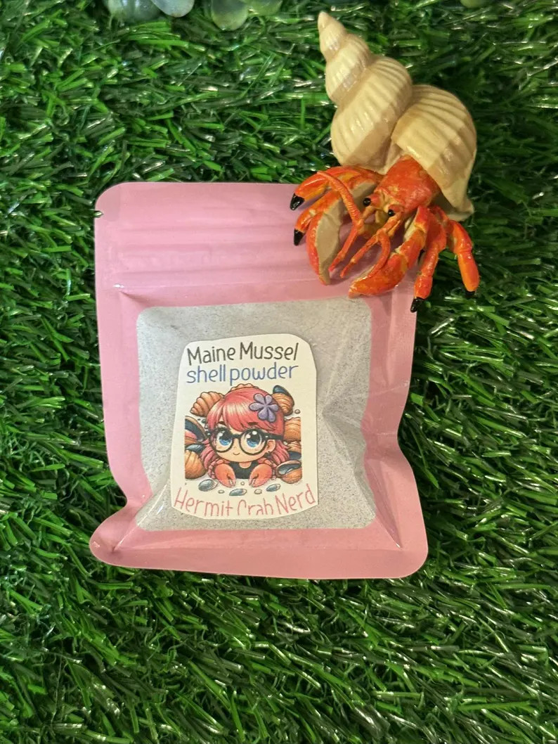 Hermit Crab Maine Mussel Shell Powder - Etsy | Etsy (US)