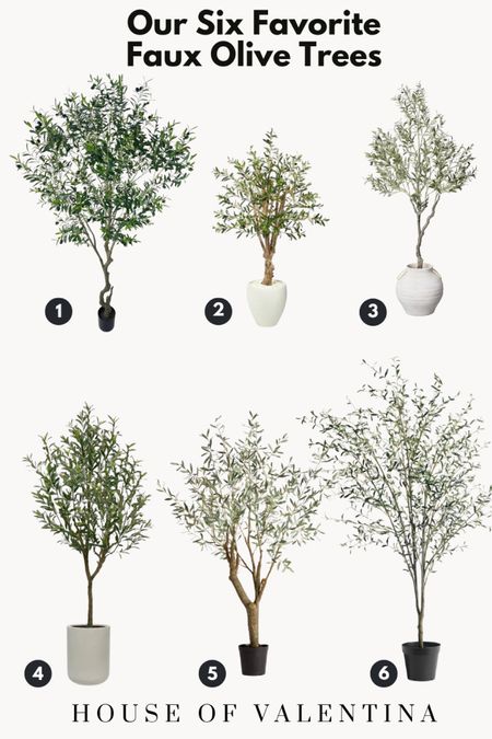 Six of my favorite faux olive trees. Perfect for any room in the house!

#LTKstyletip #LTKhome #LTKSeasonal