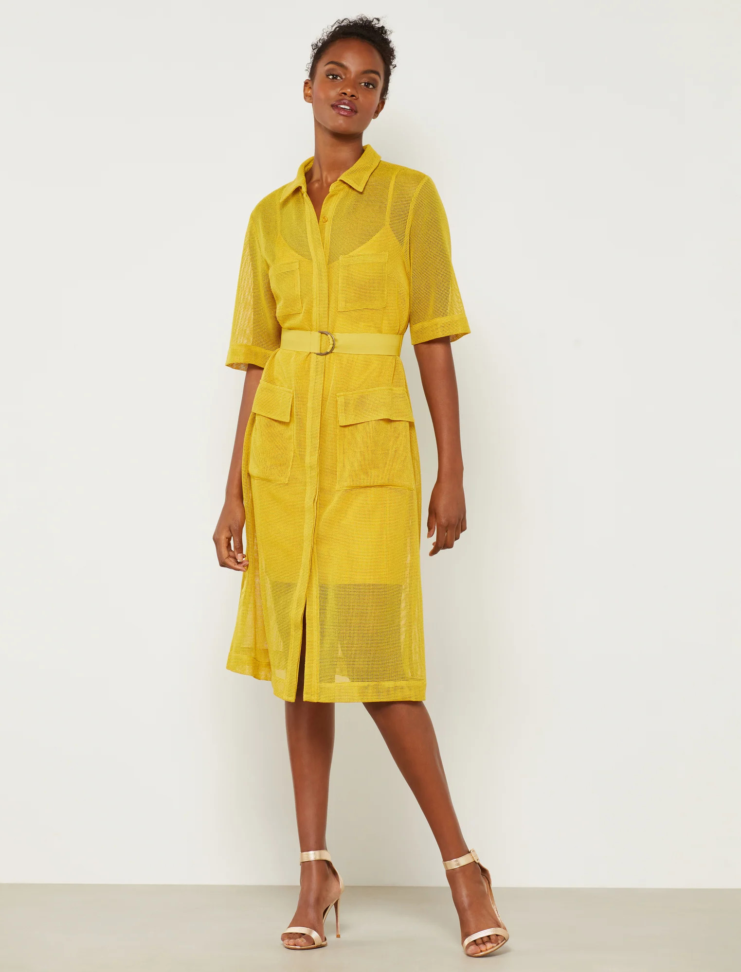 Collared Belted Midi Dress | BCBG Max Azria 