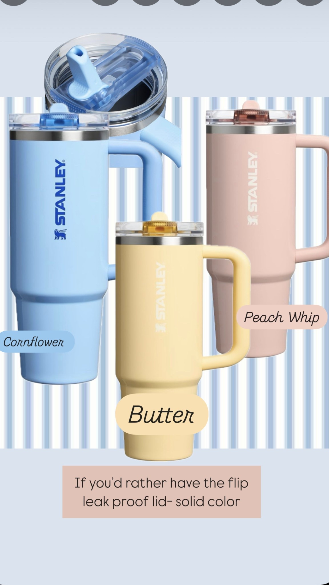 Stanley Oasis #amazonfinds #stanley

#LTKFindsUnder100 #LTKActive #LTKSeasonal