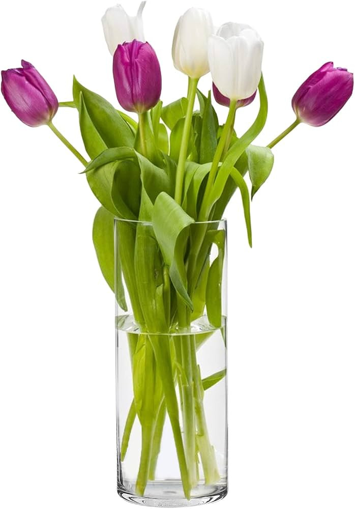 BIGIVACA 1 pc 10 Inch Tall Glass Cylinder Vases Bulk,Clear Vases for Centerpieces,Cylinder Candle... | Amazon (US)
