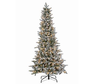 Pre-Lit Flocked Canyon Fir Artificial Christmas Trees | Pottery Barn (US)