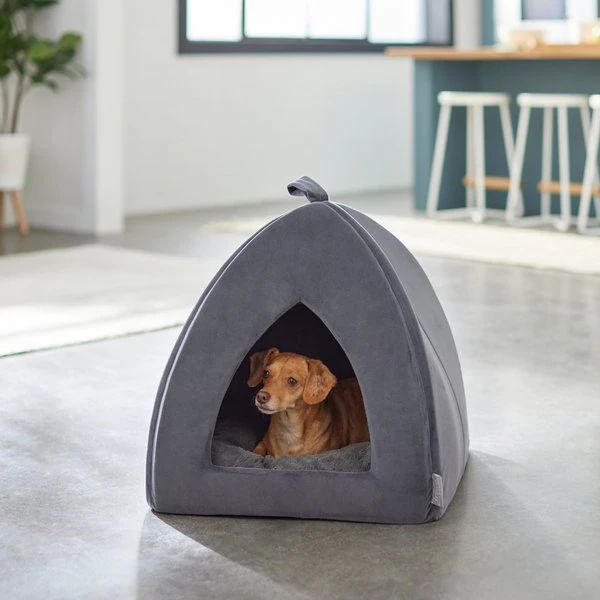 FRISCO Tent Covered Cat & Dog Bed, Gray, Medium - Chewy.com | Chewy.com