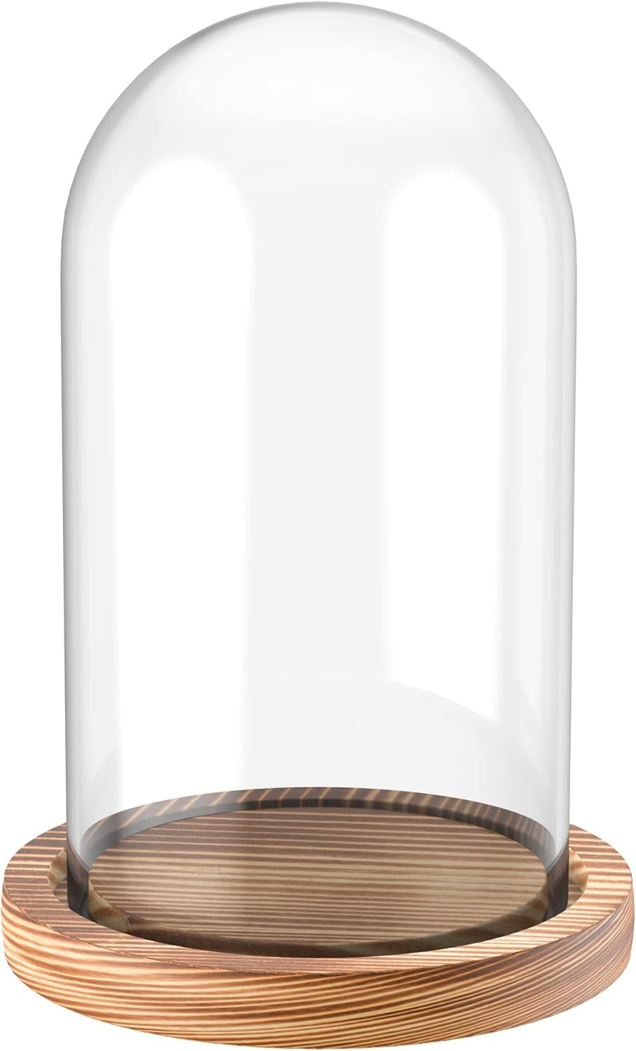 Ivolador 7" x 4" Glass Display Cloche Dome with Soild Wood Base Large Size Office Home Decoration | Amazon (US)
