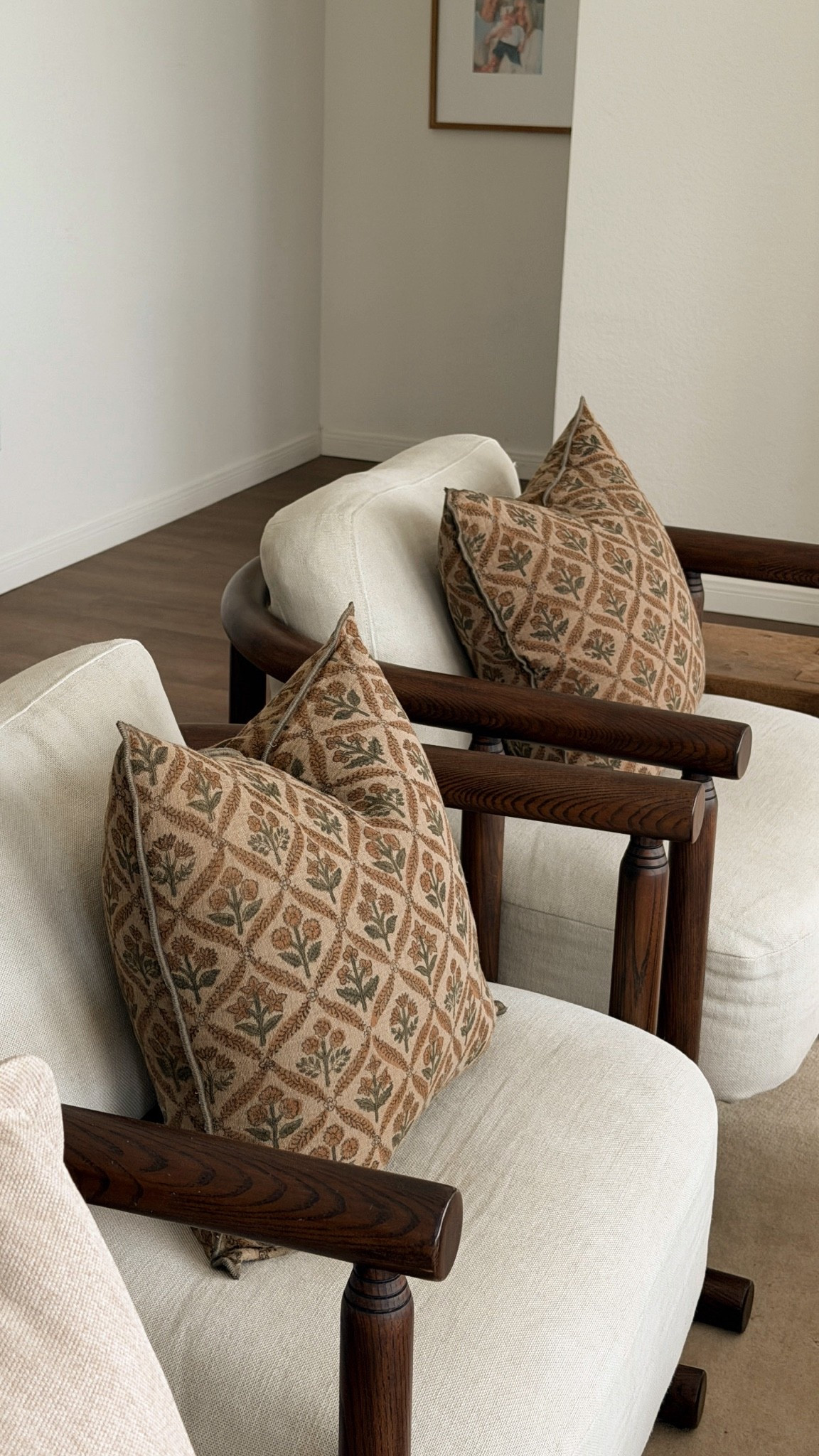 Pillows in my home