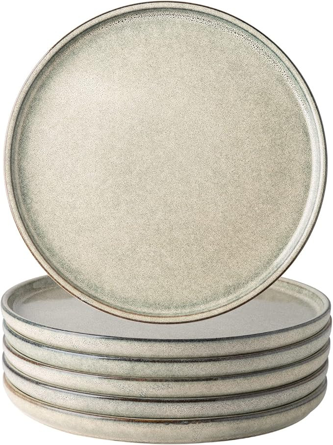 AmorArc Dinner Plates Set of 6, 10.5 Inch Reactive Glaze Ceramic Plates Set, Microwave, Dishwashe... | Amazon (US)