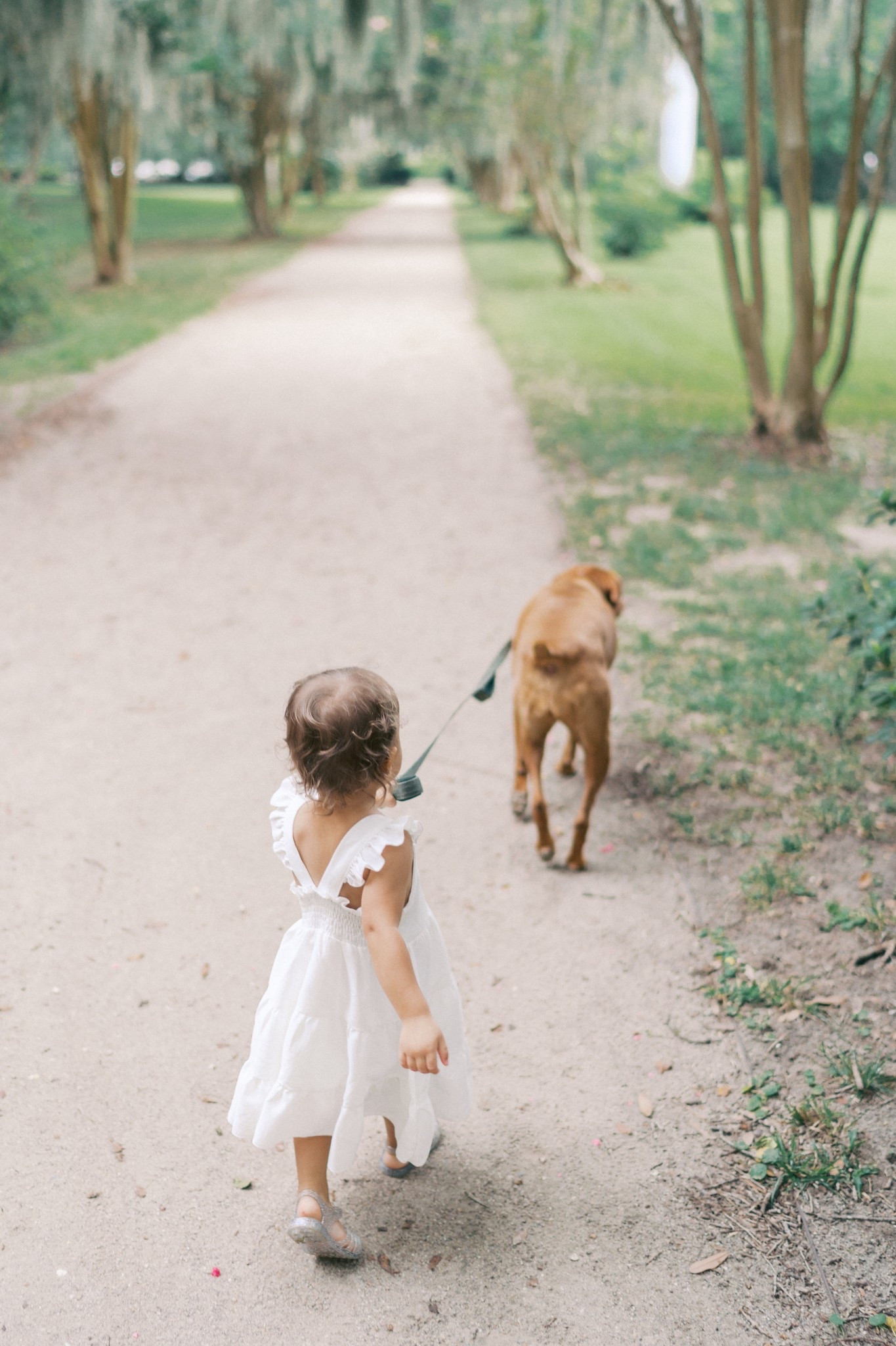 The cutest little dress for a toddler. I recommend sizing down as it was a little large! 

#LTKFamily #LTKBaby #LTKKids