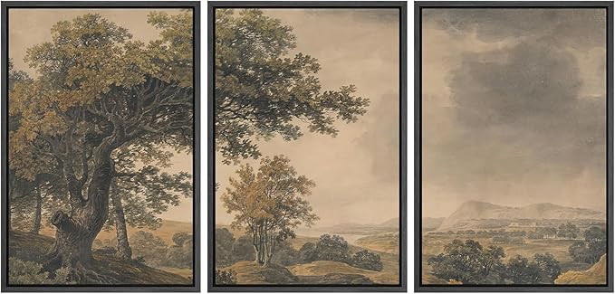 MUDECOR Framed Wall Art Print Set Vintage Landscape Rustic Tree and Mountain View Illustrations D... | Amazon (US)