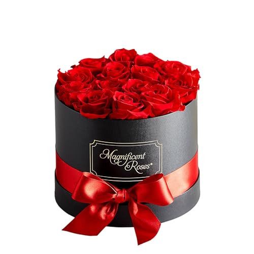 Magnificent Roses ® By 1-800-Flowers Classic Preserved Red Roses | Amazon (US)