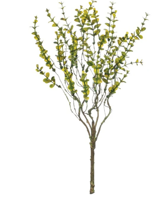 Leaves Bush | Dwell Home Co.