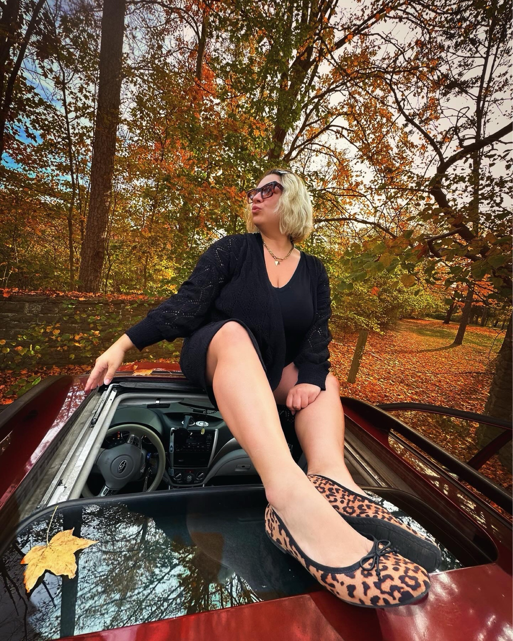 Fall outfits, leopard, print cardigan, leopard, print shoes, women’s leopard print, cheetah, print, flats, ballerina flats, ballet flats, Walmart style, affordable style, Inspo, for fall, leopard, print, ballet flats, Walmart looks for less, affordable, looks for less, plus size looks, comfy, cardigans, comfy sweater, Long duster cardigan, plus size cardigan, plus size dresses, midsize style, curvy style, curvy, curvy confidence, black dress, black line, dress, black, crochet, duster, gray duster, leopard, print, duster, gray, leopard, print, cheetah print, cheetah, print cardigan, cheetah print dress, Amazon style

#LTKPlusSize #LTKMidsize #LTKShoeCrush