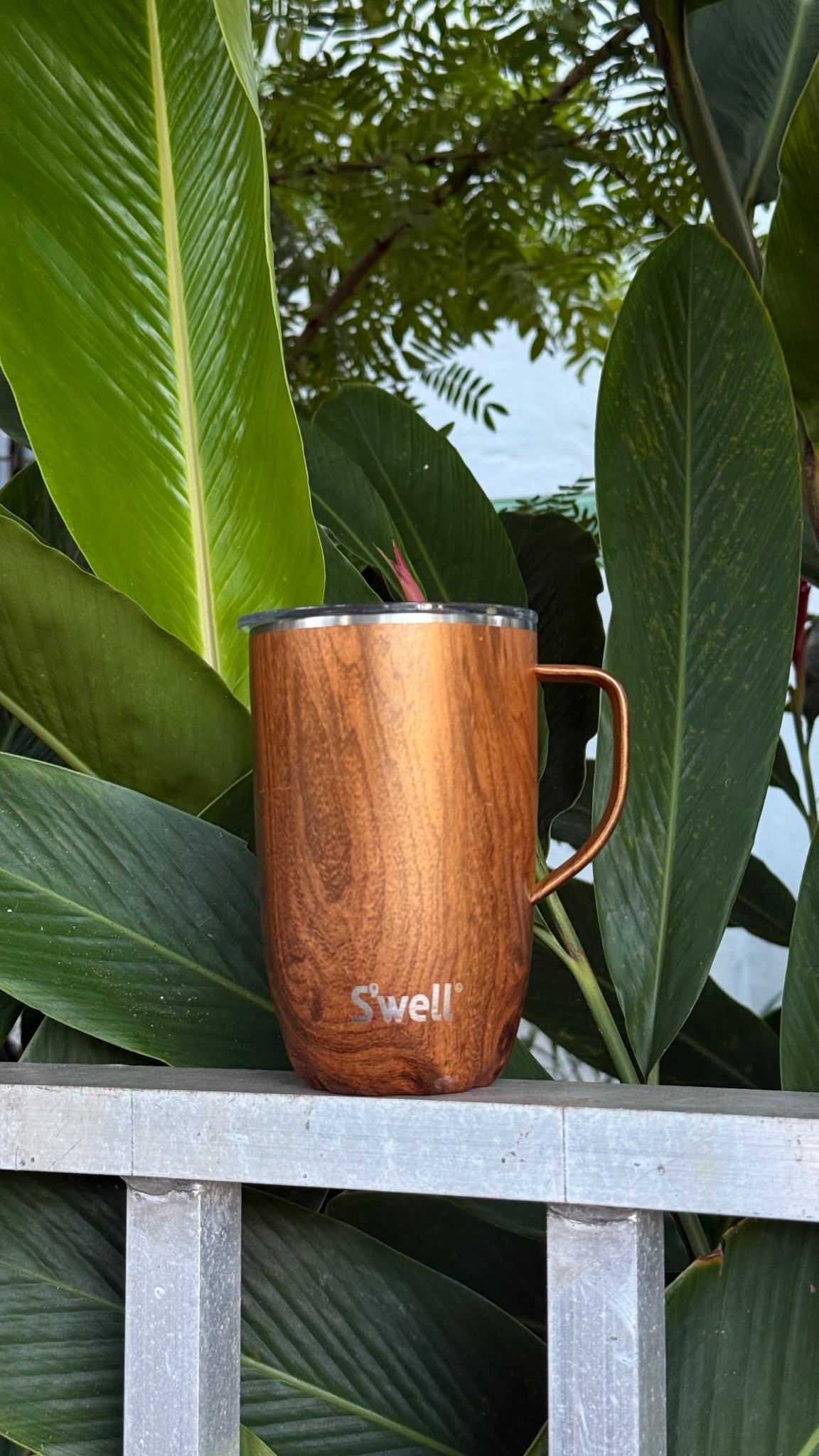 My go-to for evening walks! Splash-proof, with a slide-open lid & handle that fits most cup holders. xx 

#LTKGiftGuide #LTKFindsUnder50