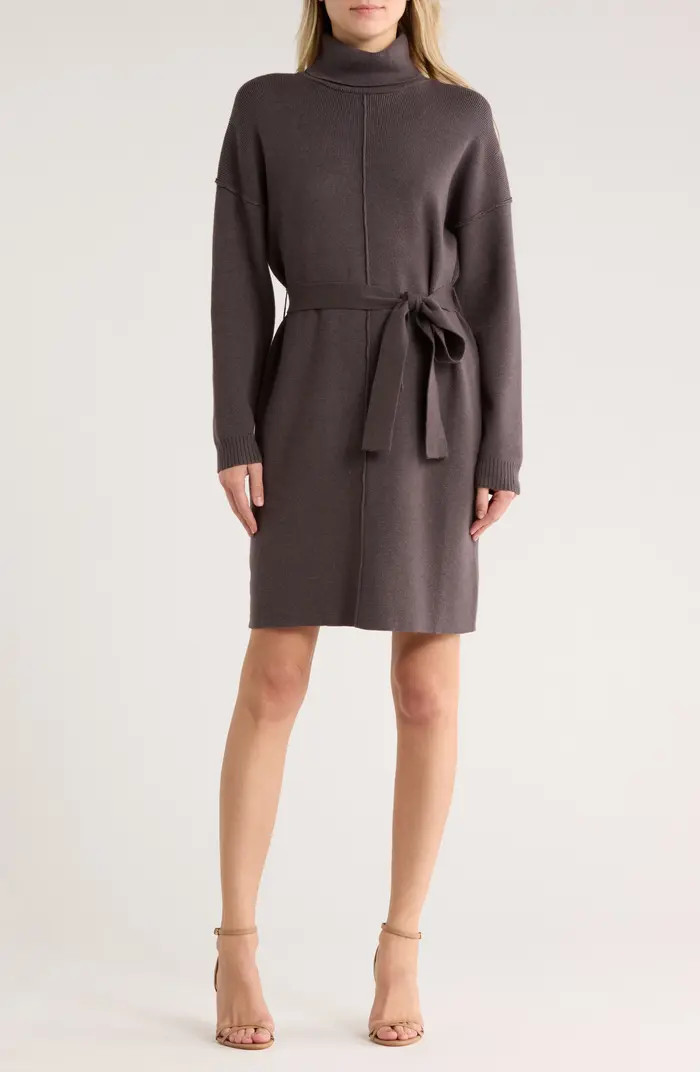Hickory Run Long Sleeve Sweater Dress | Nordstrom Rack