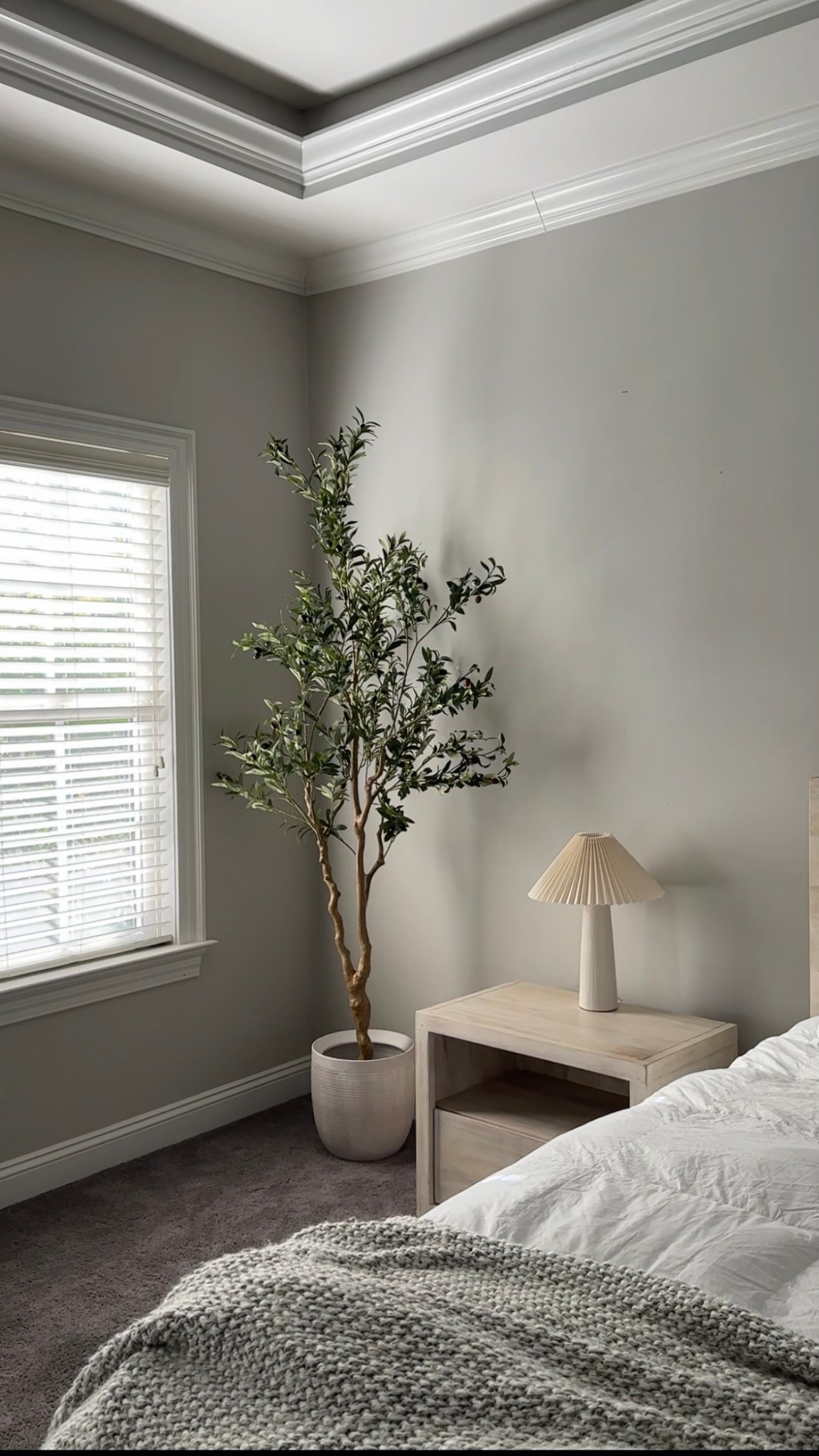 Amazon 7ft olive tree 🫒🌿

#LTKFindsUnder100 #LTKHome