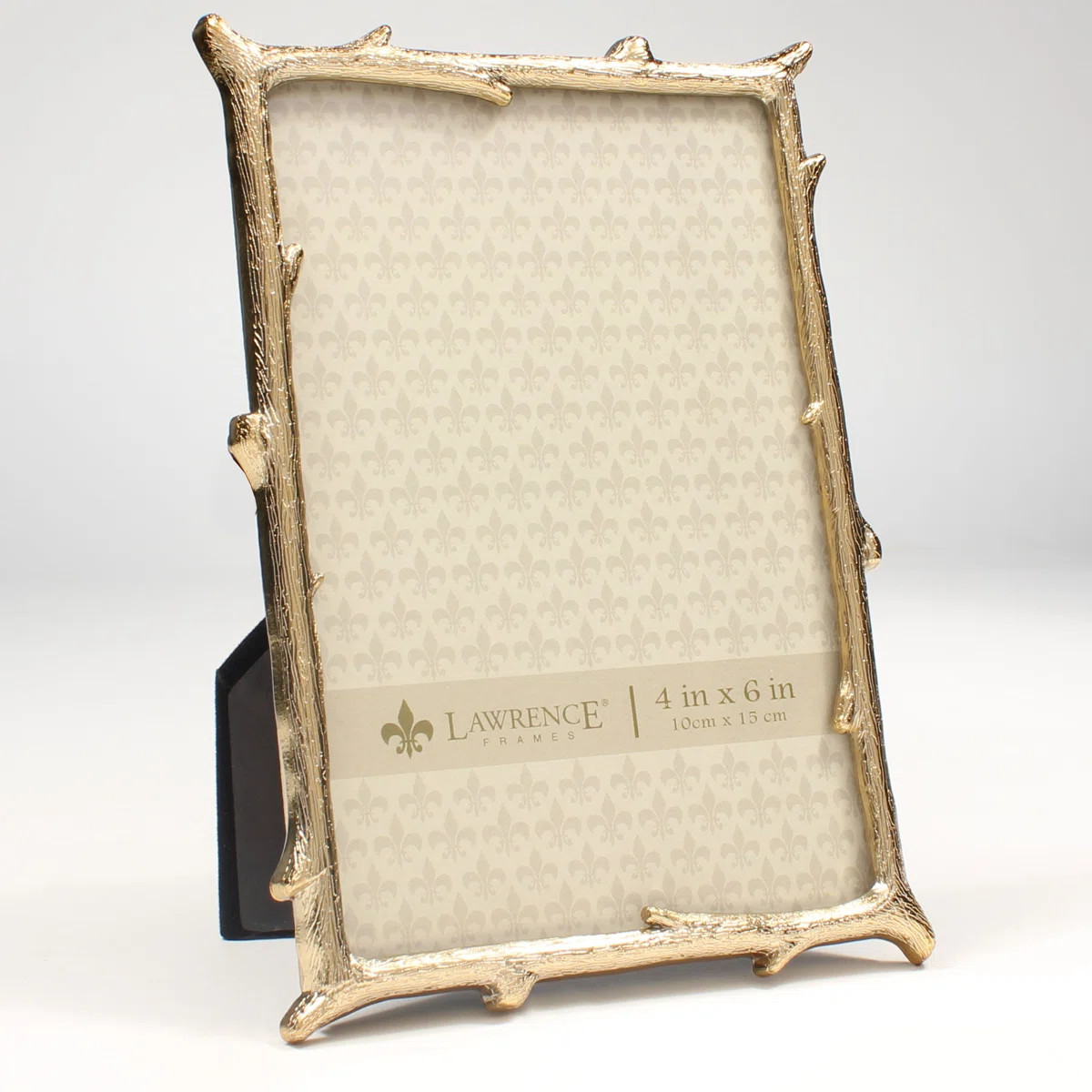 Auxvasse Metal Gilded Picture Frame | Wayfair North America